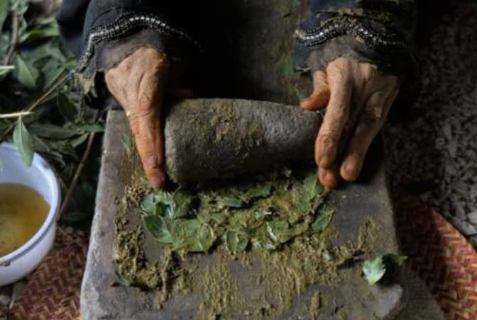 Taif Roses Join UNESCO Intangible Cultural Heritage List