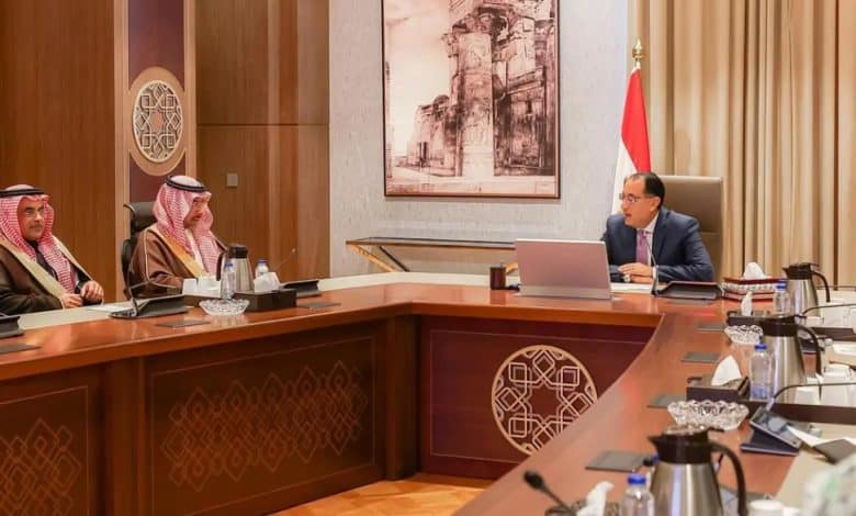 Saudi Arabia, Egypt Deepen Industrial Cooperation