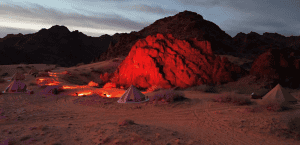 King Salman Royal Reserve Launches Naylat Camp in Hail