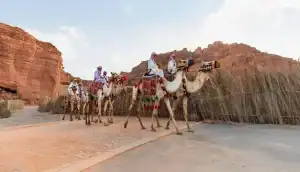 Sanaam AlUla Night Celebrates of  Year of Camel