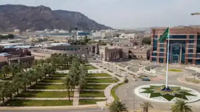 Taibah University in Medina Registers 2 Scientific Patents