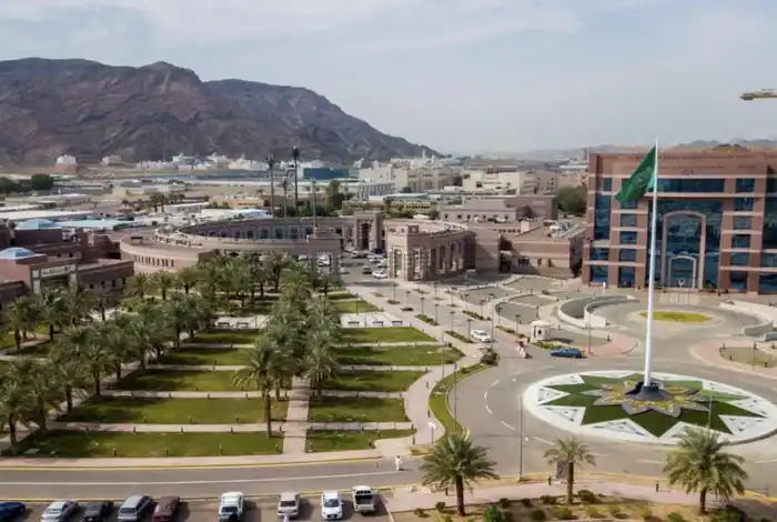 Taibah University in Medina Registers 2 Scientific Patents