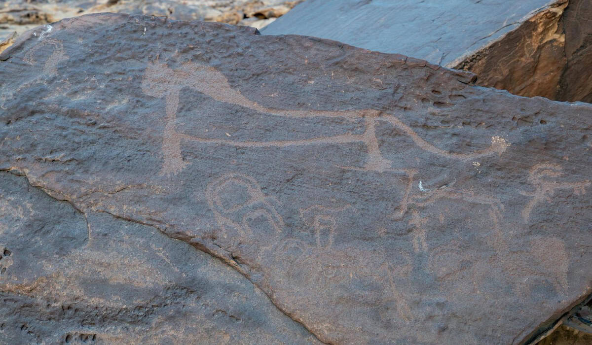 Tabuk's Harrat Boasts Rock Art Reflecting Rich History, Great Civilization 
