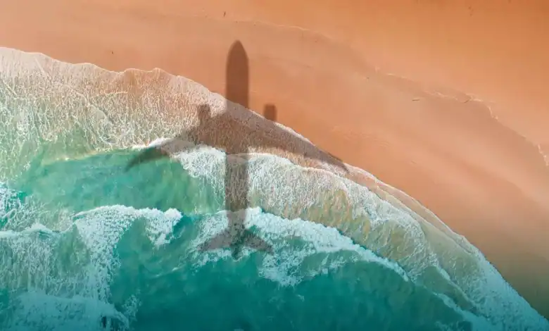 flynas to Launch Dammam-Red Sea Direct Flights on December 28