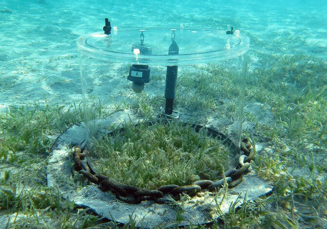 KAUST Secures Japan Prize for its Advanced Marine Ecosystem Research