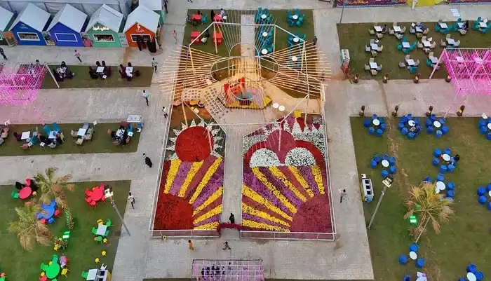 50 Thousand Flowers Paint Carpets at Al-Baha Winter Festival