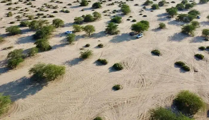 Al-Mugmass Valley in Makkah Attracts Visitors After Recent Rains