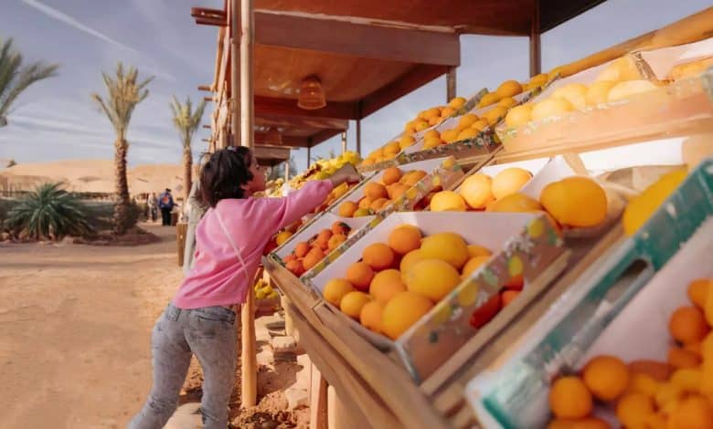 Citrus Season 2025 Kicks Off in AlUla