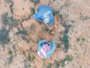 Saudi Arabia’s Buried Treasure: Truffle Festival Draws Over 49,000 Visitors