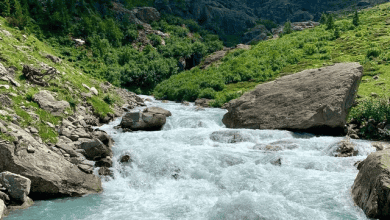 KAUST Reveals Promising Study on Microbiomes in Glacier-Fed Streams