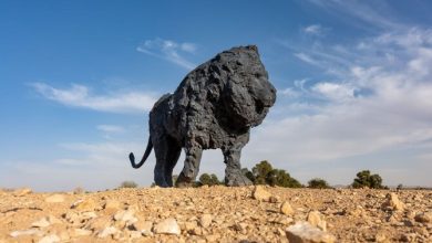 Al-Nafal Park in Riyadh Unveils Stunning Animal Sculptures