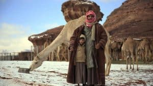 Countdown to Winter End Begins in Saudi Arabia