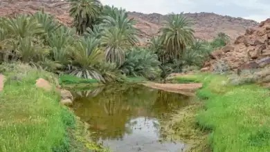 Aja, Salma Mountains: Haven of Natural Diversity for Hikers in Hail