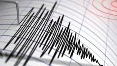 4.6-Magnitude Earthquake Hits Tobelo, Indonesi