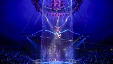 Fontana Circus Brings Dazzling Shows to Jeddah