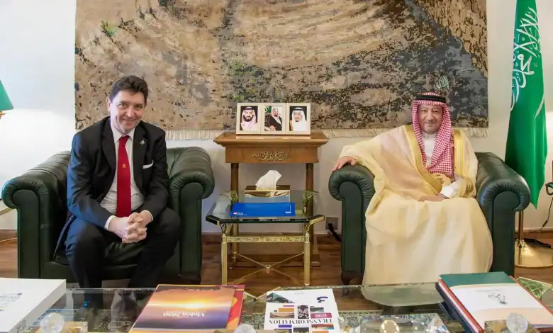 Vice Foreign Minister Meets Vice President of French Senate Committee