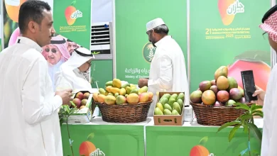 Mango and Tropical Fruits Festival Captures Visitors at Jazan