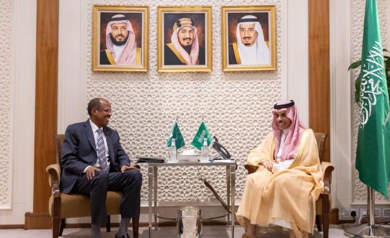 Saudi Foreign Minister Receives AUC Chairperson in Riyadh