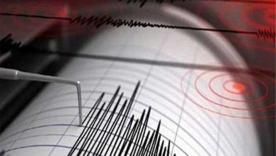 4.8-Magnitude Earthquake Strikes Northern Argentina