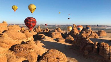 Saudi Arabia Broadens Inspection Tours in Summer Tourist Destinations