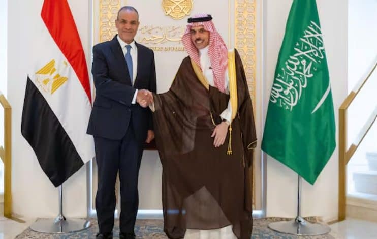 Saudi, Egyptian FMs Discuss Gaza Reconstruction Plan