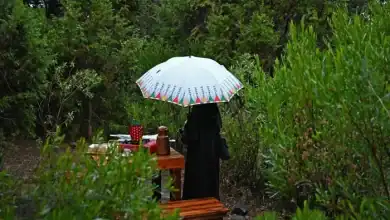 Gemini Rains Enchant Aseer as Fog Embraces  Highlands