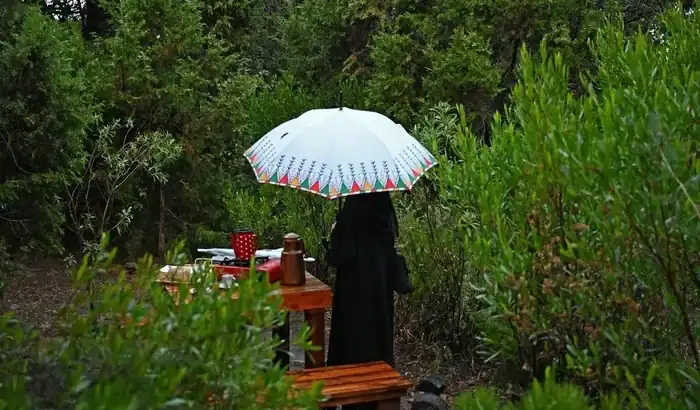 Gemini Rains Enchant Aseer as Fog Embraces  Highlands