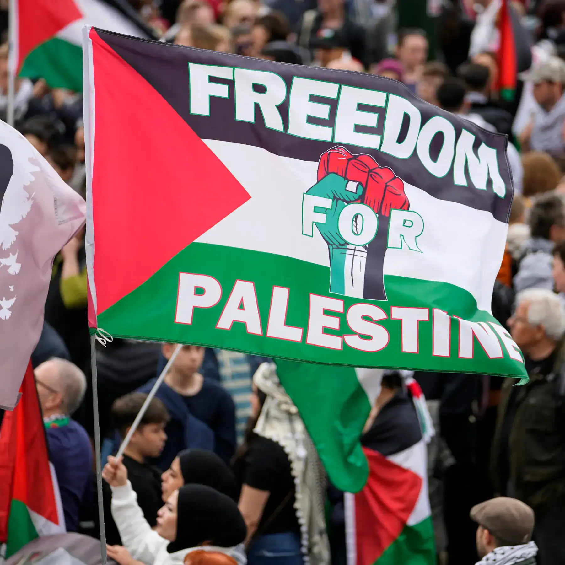 Sweden’s King Carl XVI Gustaf: Longstanding Support for Palestine, Steadfast Relations with Arab World