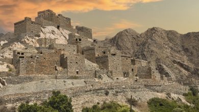 Saudi Arabia Builds Middle East’s Largest Coffee-Producing City in Al Baha