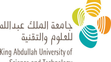 KAUST Researchers Develop Mathematical Solution to Protect Aircraft from 5G Interference