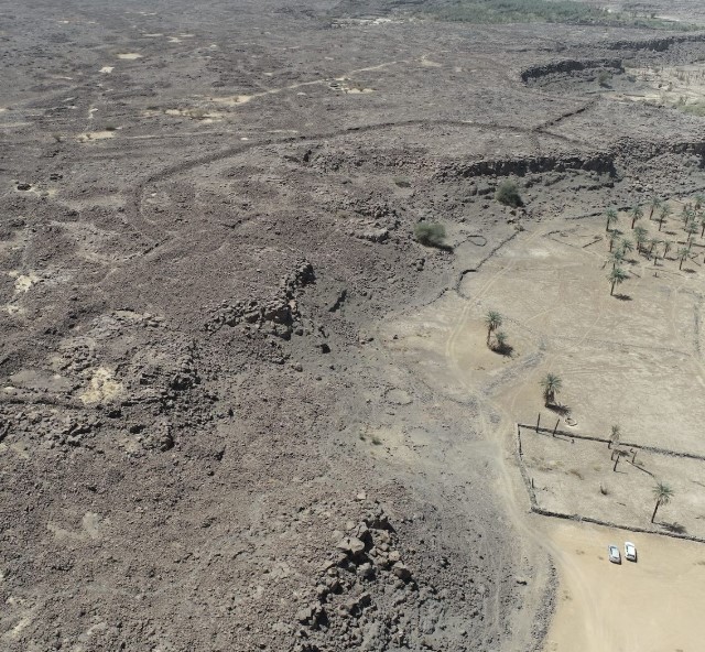 Saudi National Day 2025: Authenticity Ingrained in Heritage