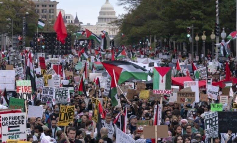 Half of Americans Believe Israel's Gaza War 'Has Gone Too Far': Poll