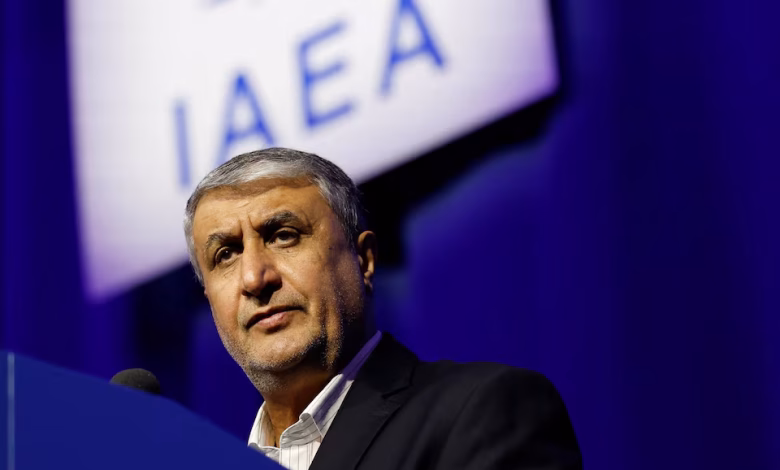Iranian Atomic Organization Chief Heads to Russia for Talks