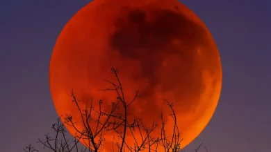 Blood moon