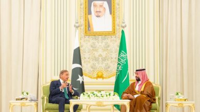 Saudi Crown Prince, Pakistani PM Hold Discussions in Riyadh