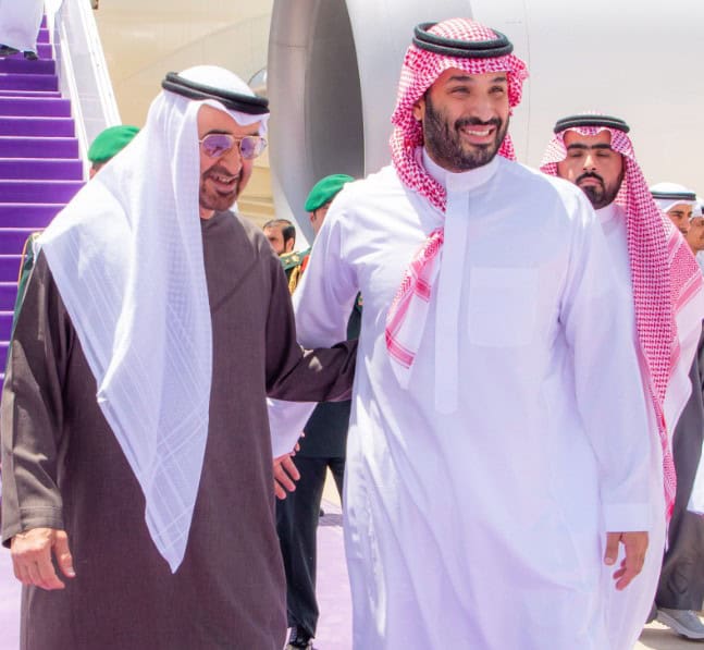 Saudi Crown Prince Receives UAE President in Riyadh