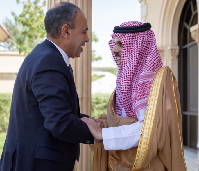 Saudi, Egyptian FMs Discuss Developments in Gaza