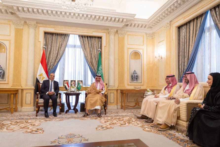 Saudi, Egyptian FMs Discuss Developments in Gaza