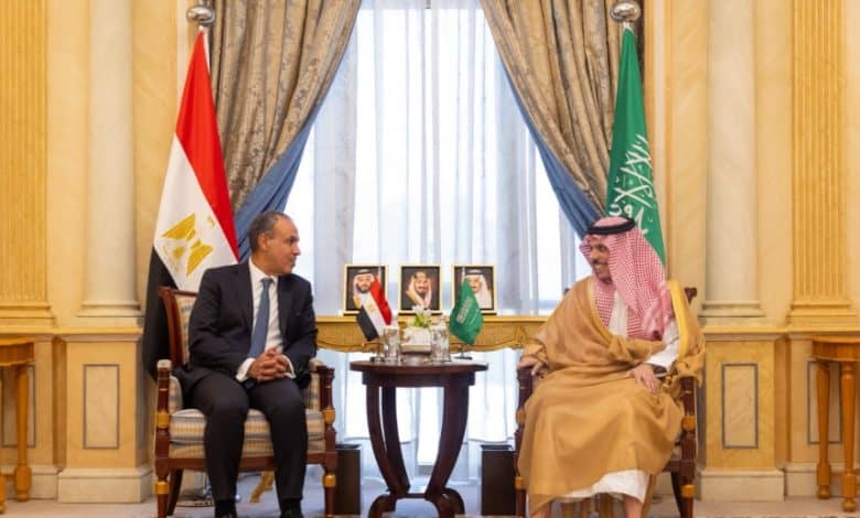 Saudi, Egyptian FMs Discuss Developments in Gaza