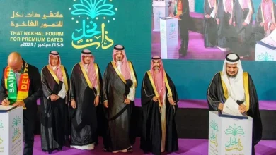 Saudi-German Partnership to Export 1,200 Tons of Dates