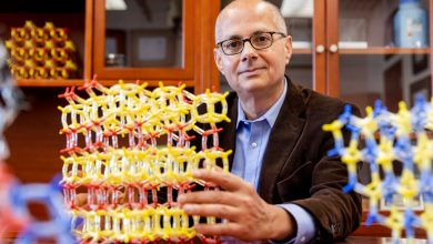 Saudi-American Chemist Omar Yaghi Wins Nobel Prize 2025