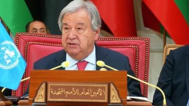 Unity is the Key to Arab World's Success: UN Secretary-General