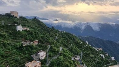  NCM Issues Yellow Alert for Light Rainfall in Jazan Region