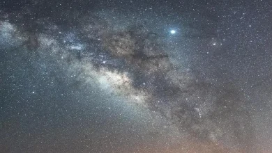 Royal Commission for AlUla Takes Part in AO4ELT Conference in Chile