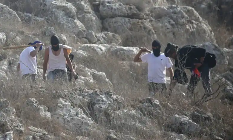 Israeli Settlers Attack, Rob Canadian, Italian Activists in West Bank
