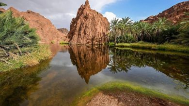 Hail Region Draws Over 3 Million Visitors in 1st Half of 2025