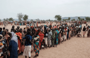 RSF Abuses Drive 1,600 Sudanese to Flee Kordofan in Single Day: IOM