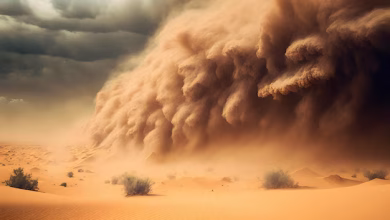 Riyadh to Host 2nd Int’l Conference on Sand and Dust Storms
