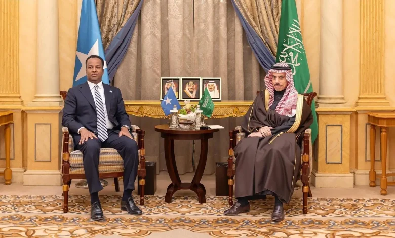 Saudi FM Meets Somali Counterpart, Reiterates Support for Somalia’s Sovereignty