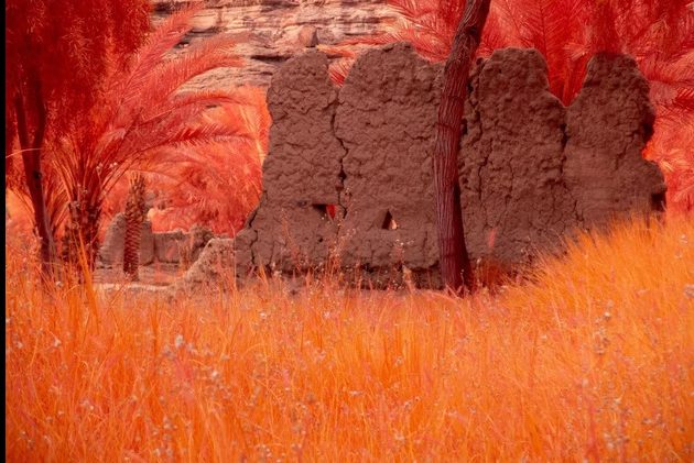 Arduna Exhibition Launches at AlUla in February 2026